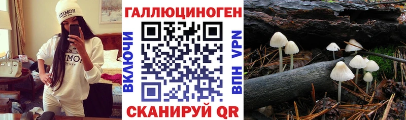 Псилоцибиновые грибы Magic Shrooms  мега вход  Томари 